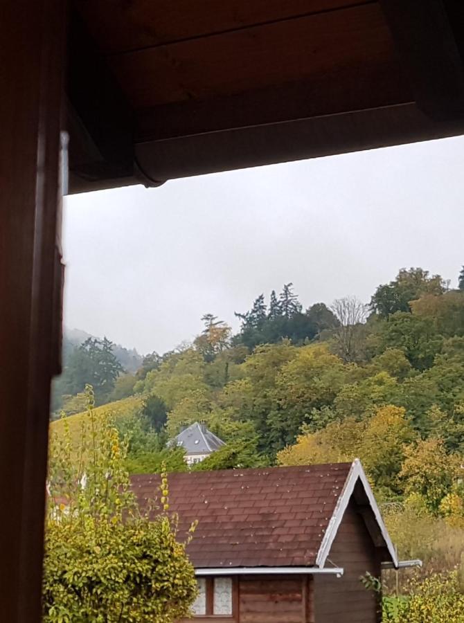 La Valeriane Apartment Kintzheim Luaran gambar
